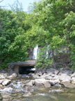IMG 3542